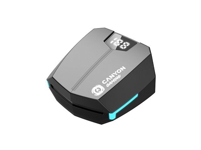 Купить Игровая гарнитура Canyon DoubleBee GTWS-2, черный (CND-GTWS2B) Игровая гарнитура Canyon DoubleBee GTWS-2, черный (CND-GTWS2B)